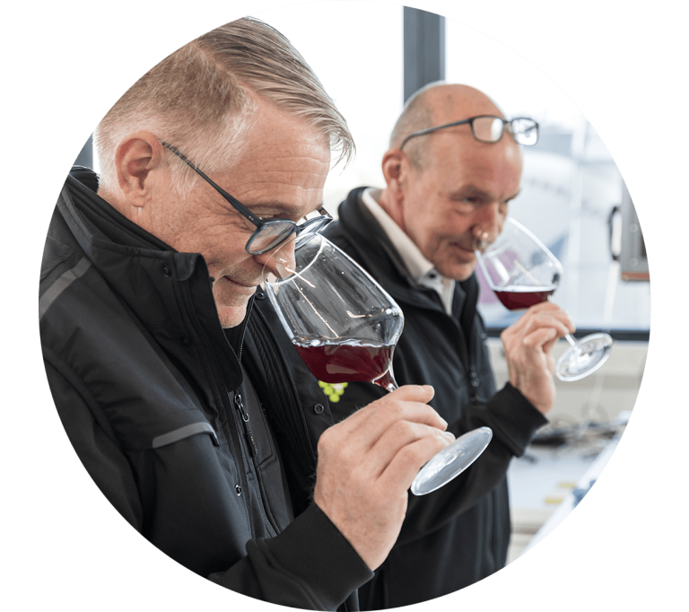 Zwei Mitarbeiter im Labor, von denen jeder an einem Glas Rotwein riecht.