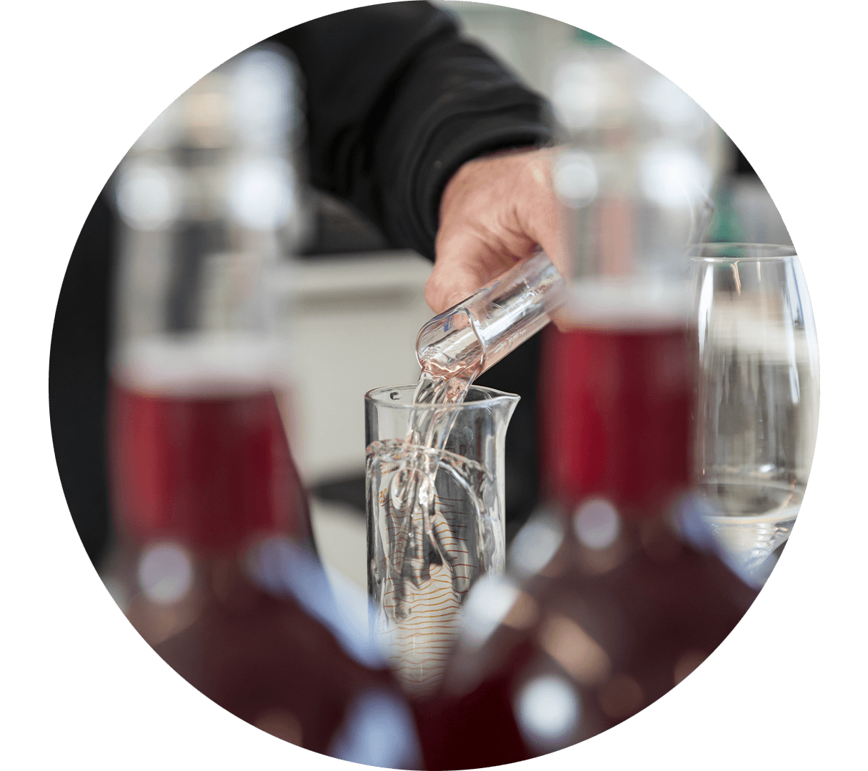 Scène dans un laboratoire d’œnologie: du vin est transvasé d’un tube à essai dans un autre.