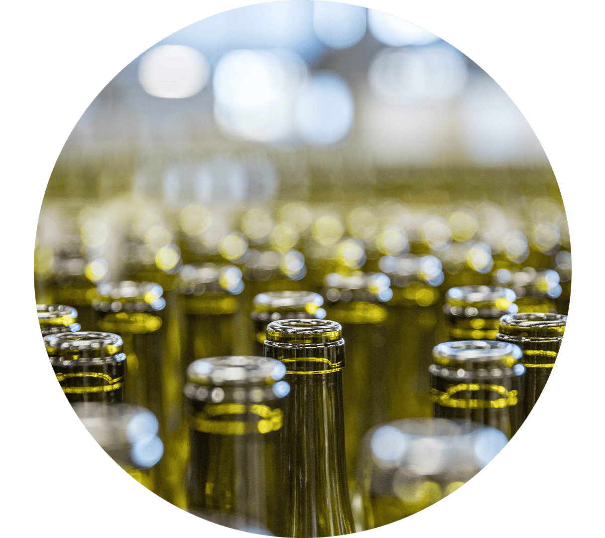 Nel laboratorio, il vino viene versato dalla bottiglia in una provetta.
