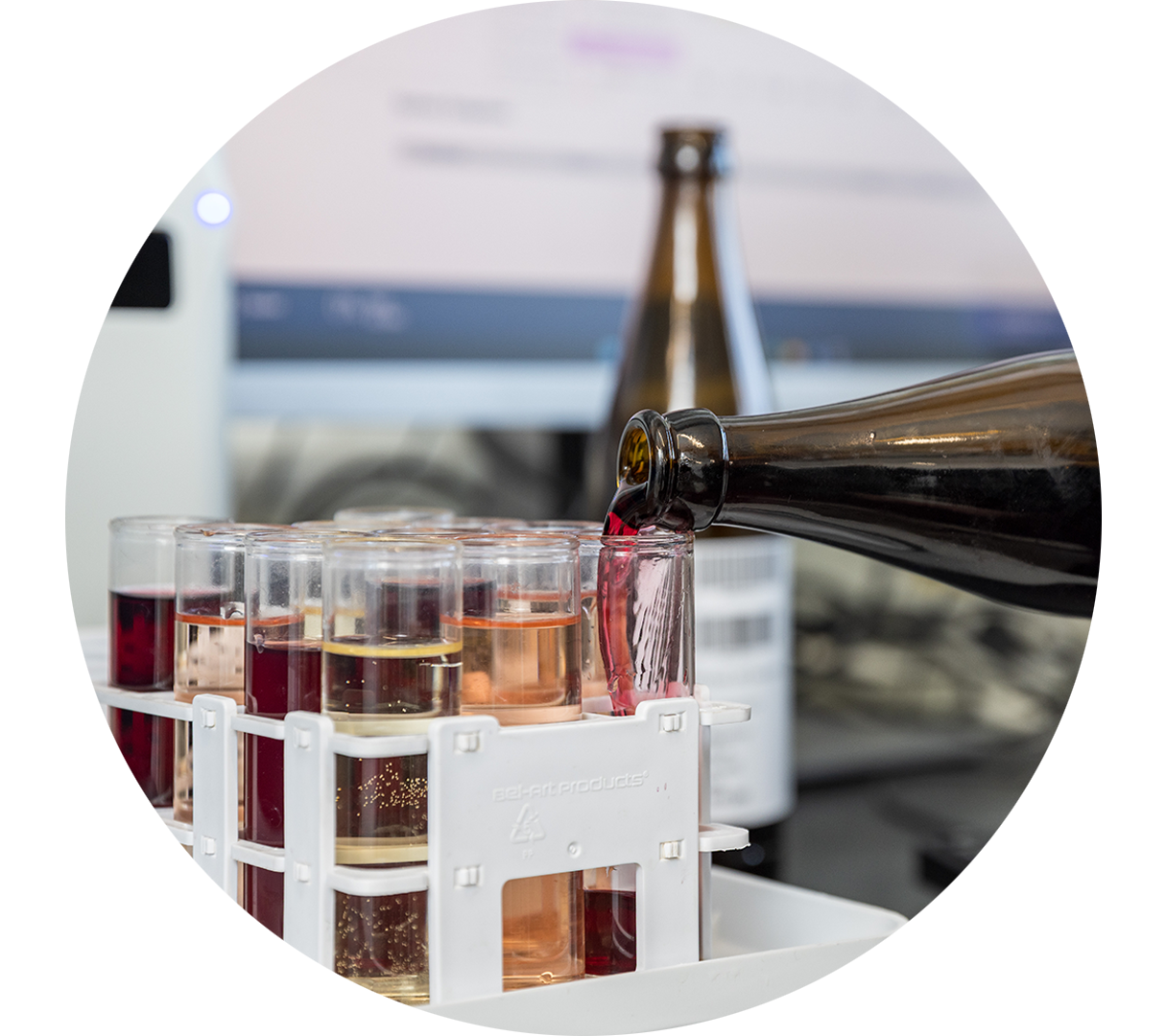 Nel laboratorio, il vino viene versato dalla bottiglia in una provetta.