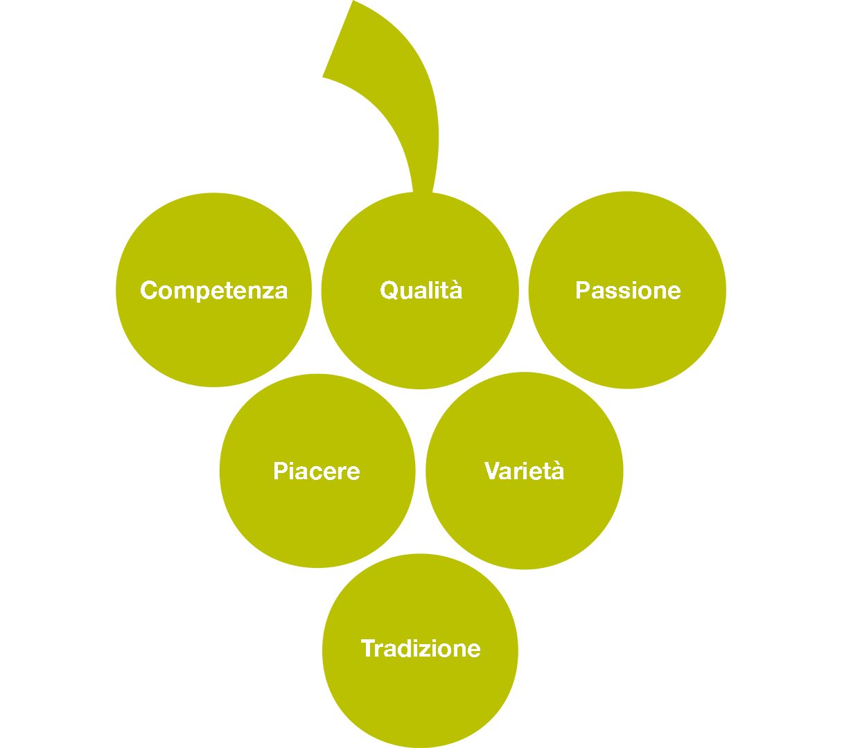 Grafico con i valori: competenza, qualità, passione, gusto, versatilità e tradizione.